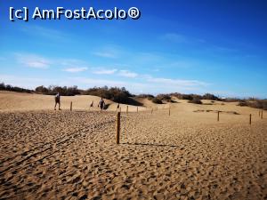 [P04] Dunele din Maspalomas » foto by crismis
 - 
<span class="allrVoted glyphicon glyphicon-heart hidden" id="av1287229"></span>
<a class="m-l-10 hidden" id="sv1287229" onclick="voting_Foto_DelVot(,1287229,13127)" role="button">șterge vot <span class="glyphicon glyphicon-remove"></span></a>
<a id="v91287229" class=" c-red"  onclick="voting_Foto_SetVot(1287229)" role="button"><span class="glyphicon glyphicon-heart-empty"></span> <b>LIKE</b> = Votează poza</a> <img class="hidden"  id="f1287229W9" src="/imagini/loader.gif" border="0" /><span class="AjErrMes hidden" id="e1287229ErM"></span>