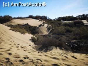 [P06] Dunele din Maspalomas » foto by crismis
 - 
<span class="allrVoted glyphicon glyphicon-heart hidden" id="av1287231"></span>
<a class="m-l-10 hidden" id="sv1287231" onclick="voting_Foto_DelVot(,1287231,13127)" role="button">șterge vot <span class="glyphicon glyphicon-remove"></span></a>
<a id="v91287231" class=" c-red"  onclick="voting_Foto_SetVot(1287231)" role="button"><span class="glyphicon glyphicon-heart-empty"></span> <b>LIKE</b> = Votează poza</a> <img class="hidden"  id="f1287231W9" src="/imagini/loader.gif" border="0" /><span class="AjErrMes hidden" id="e1287231ErM"></span>