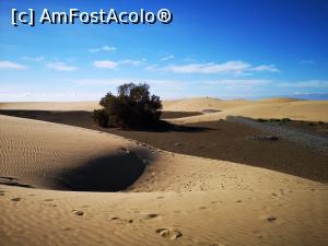 [P08] Dunele din Maspalomas » foto by crismis
 - 
<span class="allrVoted glyphicon glyphicon-heart hidden" id="av1287233"></span>
<a class="m-l-10 hidden" id="sv1287233" onclick="voting_Foto_DelVot(,1287233,13127)" role="button">șterge vot <span class="glyphicon glyphicon-remove"></span></a>
<a id="v91287233" class=" c-red"  onclick="voting_Foto_SetVot(1287233)" role="button"><span class="glyphicon glyphicon-heart-empty"></span> <b>LIKE</b> = Votează poza</a> <img class="hidden"  id="f1287233W9" src="/imagini/loader.gif" border="0" /><span class="AjErrMes hidden" id="e1287233ErM"></span>
