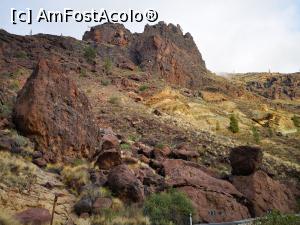 [P77] Los Azulejos de Veneguera » foto by crismis
 - 
<span class="allrVoted glyphicon glyphicon-heart hidden" id="av1287694"></span>
<a class="m-l-10 hidden" id="sv1287694" onclick="voting_Foto_DelVot(,1287694,13127)" role="button">șterge vot <span class="glyphicon glyphicon-remove"></span></a>
<a id="v91287694" class=" c-red"  onclick="voting_Foto_SetVot(1287694)" role="button"><span class="glyphicon glyphicon-heart-empty"></span> <b>LIKE</b> = Votează poza</a> <img class="hidden"  id="f1287694W9" src="/imagini/loader.gif" border="0" /><span class="AjErrMes hidden" id="e1287694ErM"></span>