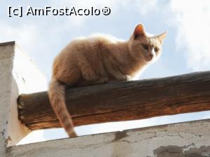 [P16] Satul tradițional Fataga » foto by crismis
 - 
<span class="allrVoted glyphicon glyphicon-heart hidden" id="av1290163"></span>
<a class="m-l-10 hidden" id="sv1290163" onclick="voting_Foto_DelVot(,1290163,13127)" role="button">șterge vot <span class="glyphicon glyphicon-remove"></span></a>
<a id="v91290163" class=" c-red"  onclick="voting_Foto_SetVot(1290163)" role="button"><span class="glyphicon glyphicon-heart-empty"></span> <b>LIKE</b> = Votează poza</a> <img class="hidden"  id="f1290163W9" src="/imagini/loader.gif" border="0" /><span class="AjErrMes hidden" id="e1290163ErM"></span>