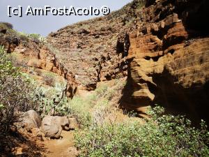 [P40] Barranco de Las Vacas » foto by crismis
 - 
<span class="allrVoted glyphicon glyphicon-heart hidden" id="av1290187"></span>
<a class="m-l-10 hidden" id="sv1290187" onclick="voting_Foto_DelVot(,1290187,13127)" role="button">șterge vot <span class="glyphicon glyphicon-remove"></span></a>
<a id="v91290187" class=" c-red"  onclick="voting_Foto_SetVot(1290187)" role="button"><span class="glyphicon glyphicon-heart-empty"></span> <b>LIKE</b> = Votează poza</a> <img class="hidden"  id="f1290187W9" src="/imagini/loader.gif" border="0" /><span class="AjErrMes hidden" id="e1290187ErM"></span>