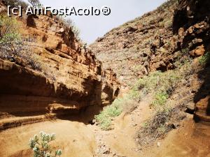 [P41] Barranco de Las Vacas » foto by crismis
 - 
<span class="allrVoted glyphicon glyphicon-heart hidden" id="av1290188"></span>
<a class="m-l-10 hidden" id="sv1290188" onclick="voting_Foto_DelVot(,1290188,13127)" role="button">șterge vot <span class="glyphicon glyphicon-remove"></span></a>
<a id="v91290188" class=" c-red"  onclick="voting_Foto_SetVot(1290188)" role="button"><span class="glyphicon glyphicon-heart-empty"></span> <b>LIKE</b> = Votează poza</a> <img class="hidden"  id="f1290188W9" src="/imagini/loader.gif" border="0" /><span class="AjErrMes hidden" id="e1290188ErM"></span>