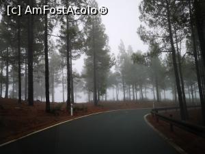 [P16] La munte în Gran Canaria; aproape de vârfurile cele mai înalte vremea este mereu schimbătoare » foto by crismis
 - 
<span class="allrVoted glyphicon glyphicon-heart hidden" id="av1291924"></span>
<a class="m-l-10 hidden" id="sv1291924" onclick="voting_Foto_DelVot(,1291924,13127)" role="button">șterge vot <span class="glyphicon glyphicon-remove"></span></a>
<a id="v91291924" class=" c-red"  onclick="voting_Foto_SetVot(1291924)" role="button"><span class="glyphicon glyphicon-heart-empty"></span> <b>LIKE</b> = Votează poza</a> <img class="hidden"  id="f1291924W9" src="/imagini/loader.gif" border="0" /><span class="AjErrMes hidden" id="e1291924ErM"></span>