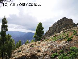 [P19] Pico de las Nieves » foto by crismis
 - 
<span class="allrVoted glyphicon glyphicon-heart hidden" id="av1291927"></span>
<a class="m-l-10 hidden" id="sv1291927" onclick="voting_Foto_DelVot(,1291927,13127)" role="button">șterge vot <span class="glyphicon glyphicon-remove"></span></a>
<a id="v91291927" class=" c-red"  onclick="voting_Foto_SetVot(1291927)" role="button"><span class="glyphicon glyphicon-heart-empty"></span> <b>LIKE</b> = Votează poza</a> <img class="hidden"  id="f1291927W9" src="/imagini/loader.gif" border="0" /><span class="AjErrMes hidden" id="e1291927ErM"></span>