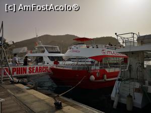 [P42] Excursie la delfini; catamaranul ne așteaptă în portul din Puerto Rico » foto by crismis
 - 
<span class="allrVoted glyphicon glyphicon-heart hidden" id="av1296135"></span>
<a class="m-l-10 hidden" id="sv1296135" onclick="voting_Foto_DelVot(,1296135,13127)" role="button">șterge vot <span class="glyphicon glyphicon-remove"></span></a>
<a id="v91296135" class=" c-red"  onclick="voting_Foto_SetVot(1296135)" role="button"><span class="glyphicon glyphicon-heart-empty"></span> <b>LIKE</b> = Votează poza</a> <img class="hidden"  id="f1296135W9" src="/imagini/loader.gif" border="0" /><span class="AjErrMes hidden" id="e1296135ErM"></span>