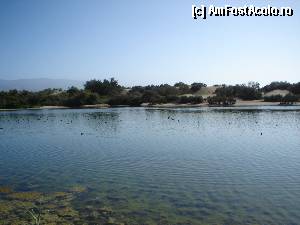 [P08] Dunele de nisip din Maspalomas, Gran Canaria » foto by lorelei34
 - 
<span class="allrVoted glyphicon glyphicon-heart hidden" id="av382187"></span>
<a class="m-l-10 hidden" id="sv382187" onclick="voting_Foto_DelVot(,382187,13127)" role="button">șterge vot <span class="glyphicon glyphicon-remove"></span></a>
<a id="v9382187" class=" c-red"  onclick="voting_Foto_SetVot(382187)" role="button"><span class="glyphicon glyphicon-heart-empty"></span> <b>LIKE</b> = Votează poza</a> <img class="hidden"  id="f382187W9" src="/imagini/loader.gif" border="0" /><span class="AjErrMes hidden" id="e382187ErM"></span>