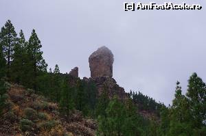 [P19] renumitul Roque Noble (1803m) cu varful ascuns in ceata » foto by osna
 - 
<span class="allrVoted glyphicon glyphicon-heart hidden" id="av553199"></span>
<a class="m-l-10 hidden" id="sv553199" onclick="voting_Foto_DelVot(,553199,13127)" role="button">șterge vot <span class="glyphicon glyphicon-remove"></span></a>
<a id="v9553199" class=" c-red"  onclick="voting_Foto_SetVot(553199)" role="button"><span class="glyphicon glyphicon-heart-empty"></span> <b>LIKE</b> = Votează poza</a> <img class="hidden"  id="f553199W9" src="/imagini/loader.gif" border="0" /><span class="AjErrMes hidden" id="e553199ErM"></span>