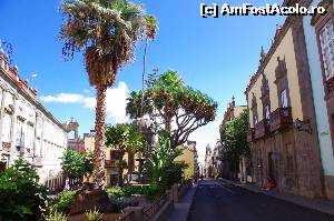 [P26] La Vegueta, partea veche a capitalei Las Palmas » foto by osna
 - 
<span class="allrVoted glyphicon glyphicon-heart hidden" id="av553208"></span>
<a class="m-l-10 hidden" id="sv553208" onclick="voting_Foto_DelVot(,553208,13127)" role="button">șterge vot <span class="glyphicon glyphicon-remove"></span></a>
<a id="v9553208" class=" c-red"  onclick="voting_Foto_SetVot(553208)" role="button"><span class="glyphicon glyphicon-heart-empty"></span> <b>LIKE</b> = Votează poza</a> <img class="hidden"  id="f553208W9" src="/imagini/loader.gif" border="0" /><span class="AjErrMes hidden" id="e553208ErM"></span>