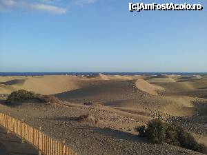 [P01] Rezervatia naturala Dunele din Maspalomas » foto by danieltanase*
 - 
<span class="allrVoted glyphicon glyphicon-heart hidden" id="av401924"></span>
<a class="m-l-10 hidden" id="sv401924" onclick="voting_Foto_DelVot(,401924,13127)" role="button">șterge vot <span class="glyphicon glyphicon-remove"></span></a>
<a id="v9401924" class=" c-red"  onclick="voting_Foto_SetVot(401924)" role="button"><span class="glyphicon glyphicon-heart-empty"></span> <b>LIKE</b> = Votează poza</a> <img class="hidden"  id="f401924W9" src="/imagini/loader.gif" border="0" /><span class="AjErrMes hidden" id="e401924ErM"></span>
