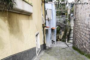 [P07] O alta alee ce pleaca de la apartamentul nostru » foto by DOINITA
 - 
<span class="allrVoted glyphicon glyphicon-heart hidden" id="av608141"></span>
<a class="m-l-10 hidden" id="sv608141" onclick="voting_Foto_DelVot(,608141,13144)" role="button">șterge vot <span class="glyphicon glyphicon-remove"></span></a>
<a id="v9608141" class=" c-red"  onclick="voting_Foto_SetVot(608141)" role="button"><span class="glyphicon glyphicon-heart-empty"></span> <b>LIKE</b> = Votează poza</a> <img class="hidden"  id="f608141W9" src="/imagini/loader.gif" border="0" /><span class="AjErrMes hidden" id="e608141ErM"></span>