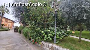 [P14]  -- <small>// FĂRĂ DESCRIERE</small> » foto by geani anto
 - 
<span class="allrVoted glyphicon glyphicon-heart hidden" id="av1411447"></span>
<a class="m-l-10 hidden" id="sv1411447" onclick="voting_Foto_DelVot(,1411447,13144)" role="button">șterge vot <span class="glyphicon glyphicon-remove"></span></a>
<a id="v91411447" class=" c-red"  onclick="voting_Foto_SetVot(1411447)" role="button"><span class="glyphicon glyphicon-heart-empty"></span> <b>LIKE</b> = Votează poza</a> <img class="hidden"  id="f1411447W9" src="/imagini/loader.gif" border="0" /><span class="AjErrMes hidden" id="e1411447ErM"></span>