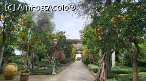 [P07] Cocotat pe marginea stancii, este construit peste ruinele vilei imparatului roman Augustus. Are gradini luxuriante, pline de plante mediteraneene, citrice si plantatii de maslini, intocmai ca o gradina botanica. » foto by geani anto
 - 
<span class="allrVoted glyphicon glyphicon-heart hidden" id="av1411440"></span>
<a class="m-l-10 hidden" id="sv1411440" onclick="voting_Foto_DelVot(,1411440,13144)" role="button">șterge vot <span class="glyphicon glyphicon-remove"></span></a>
<a id="v91411440" class=" c-red"  onclick="voting_Foto_SetVot(1411440)" role="button"><span class="glyphicon glyphicon-heart-empty"></span> <b>LIKE</b> = Votează poza</a> <img class="hidden"  id="f1411440W9" src="/imagini/loader.gif" border="0" /><span class="AjErrMes hidden" id="e1411440ErM"></span>
