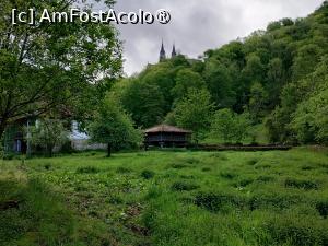 [P59] Verde de Asturia » foto by Marius 72
 - 
<span class="allrVoted glyphicon glyphicon-heart hidden" id="av1427642"></span>
<a class="m-l-10 hidden" id="sv1427642" onclick="voting_Foto_DelVot(,1427642,13148)" role="button">șterge vot <span class="glyphicon glyphicon-remove"></span></a>
<a id="v91427642" class=" c-red"  onclick="voting_Foto_SetVot(1427642)" role="button"><span class="glyphicon glyphicon-heart-empty"></span> <b>LIKE</b> = Votează poza</a> <img class="hidden"  id="f1427642W9" src="/imagini/loader.gif" border="0" /><span class="AjErrMes hidden" id="e1427642ErM"></span>