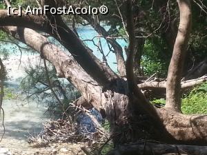 [P19] Culoare plăcută ochiului în " Acheron Springs" de lângă satul Glyki (30 de km de orăşelul staţiune Parga, Grecia).  » foto by traian.leuca †
 - 
<span class="allrVoted glyphicon glyphicon-heart hidden" id="av1072911"></span>
<a class="m-l-10 hidden" id="sv1072911" onclick="voting_Foto_DelVot(,1072911,13156)" role="button">șterge vot <span class="glyphicon glyphicon-remove"></span></a>
<a id="v91072911" class=" c-red"  onclick="voting_Foto_SetVot(1072911)" role="button"><span class="glyphicon glyphicon-heart-empty"></span> <b>LIKE</b> = Votează poza</a> <img class="hidden"  id="f1072911W9" src="/imagini/loader.gif" border="0" /><span class="AjErrMes hidden" id="e1072911ErM"></span>