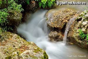 [P14] O fotografie facuta pe traseul catre cetatea lui Ali Pashelu.  » foto by Vlahos2003
 - 
<span class="allrVoted glyphicon glyphicon-heart hidden" id="av663408"></span>
<a class="m-l-10 hidden" id="sv663408" onclick="voting_Foto_DelVot(,663408,13156)" role="button">șterge vot <span class="glyphicon glyphicon-remove"></span></a>
<a id="v9663408" class=" c-red"  onclick="voting_Foto_SetVot(663408)" role="button"><span class="glyphicon glyphicon-heart-empty"></span> <b>LIKE</b> = Votează poza</a> <img class="hidden"  id="f663408W9" src="/imagini/loader.gif" border="0" /><span class="AjErrMes hidden" id="e663408ErM"></span>