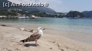 [P03] Valtos beach » foto by dnip
 - 
<span class="allrVoted glyphicon glyphicon-heart hidden" id="av917470"></span>
<a class="m-l-10 hidden" id="sv917470" onclick="voting_Foto_DelVot(,917470,13156)" role="button">șterge vot <span class="glyphicon glyphicon-remove"></span></a>
<a id="v9917470" class=" c-red"  onclick="voting_Foto_SetVot(917470)" role="button"><span class="glyphicon glyphicon-heart-empty"></span> <b>LIKE</b> = Votează poza</a> <img class="hidden"  id="f917470W9" src="/imagini/loader.gif" border="0" /><span class="AjErrMes hidden" id="e917470ErM"></span>