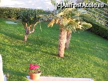 [P05] gradina » foto by vxp
 - 
<span class="allrVoted glyphicon glyphicon-heart hidden" id="av415873"></span>
<a class="m-l-10 hidden" id="sv415873" onclick="voting_Foto_DelVot(,415873,13160)" role="button">șterge vot <span class="glyphicon glyphicon-remove"></span></a>
<a id="v9415873" class=" c-red"  onclick="voting_Foto_SetVot(415873)" role="button"><span class="glyphicon glyphicon-heart-empty"></span> <b>LIKE</b> = Votează poza</a> <img class="hidden"  id="f415873W9" src="/imagini/loader.gif" border="0" /><span class="AjErrMes hidden" id="e415873ErM"></span>