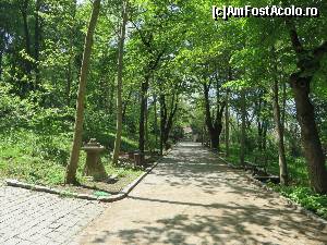 [P06] La umbra copacilor - Parcul Pitești, Slatina.  » foto by tata123 🔱
 - 
<span class="allrVoted glyphicon glyphicon-heart hidden" id="av619837"></span>
<a class="m-l-10 hidden" id="sv619837" onclick="voting_Foto_DelVot(,619837,13164)" role="button">șterge vot <span class="glyphicon glyphicon-remove"></span></a>
<a id="v9619837" class=" c-red"  onclick="voting_Foto_SetVot(619837)" role="button"><span class="glyphicon glyphicon-heart-empty"></span> <b>LIKE</b> = Votează poza</a> <img class="hidden"  id="f619837W9" src="/imagini/loader.gif" border="0" /><span class="AjErrMes hidden" id="e619837ErM"></span>