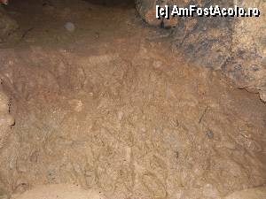 [P20] O baltă secată. Aici e ori apă, ori noroiul din imagine. Se depăşeşte printr-un singur pas, cu ajutorul pereţilor.  » foto by abancor
 - 
<span class="allrVoted glyphicon glyphicon-heart hidden" id="av383776"></span>
<a class="m-l-10 hidden" id="sv383776" onclick="voting_Foto_DelVot(,383776,13179)" role="button">șterge vot <span class="glyphicon glyphicon-remove"></span></a>
<a id="v9383776" class=" c-red"  onclick="voting_Foto_SetVot(383776)" role="button"><span class="glyphicon glyphicon-heart-empty"></span> <b>LIKE</b> = Votează poza</a> <img class="hidden"  id="f383776W9" src="/imagini/loader.gif" border="0" /><span class="AjErrMes hidden" id="e383776ErM"></span>