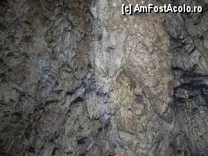 [P27] Alte speleoteme care îmbracă pereţii peşterii.  » foto by abancor
 - 
<span class="allrVoted glyphicon glyphicon-heart hidden" id="av383783"></span>
<a class="m-l-10 hidden" id="sv383783" onclick="voting_Foto_DelVot(,383783,13179)" role="button">șterge vot <span class="glyphicon glyphicon-remove"></span></a>
<a id="v9383783" class=" c-red"  onclick="voting_Foto_SetVot(383783)" role="button"><span class="glyphicon glyphicon-heart-empty"></span> <b>LIKE</b> = Votează poza</a> <img class="hidden"  id="f383783W9" src="/imagini/loader.gif" border="0" /><span class="AjErrMes hidden" id="e383783ErM"></span>