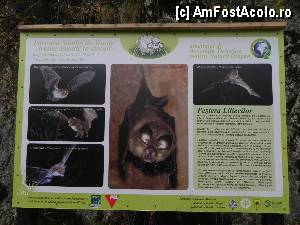 [P09] Un panou binevenit pentru informarea turiştilor. Unii au lăsat şi autografe!  » foto by abancor
 - 
<span class="allrVoted glyphicon glyphicon-heart hidden" id="av383765"></span>
<a class="m-l-10 hidden" id="sv383765" onclick="voting_Foto_DelVot(,383765,13179)" role="button">șterge vot <span class="glyphicon glyphicon-remove"></span></a>
<a id="v9383765" class=" c-red"  onclick="voting_Foto_SetVot(383765)" role="button"><span class="glyphicon glyphicon-heart-empty"></span> <b>LIKE</b> = Votează poza</a> <img class="hidden"  id="f383765W9" src="/imagini/loader.gif" border="0" /><span class="AjErrMes hidden" id="e383765ErM"></span>