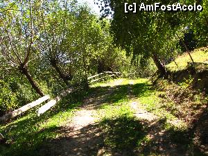 [P15] astfel de drumuri cautati, desi si asta pare cam mare... potecile sunt cele mai frumoase :)  » foto by no_oxigen
 - 
<span class="allrVoted glyphicon glyphicon-heart hidden" id="av470730"></span>
<a class="m-l-10 hidden" id="sv470730" onclick="voting_Foto_DelVot(,470730,13179)" role="button">șterge vot <span class="glyphicon glyphicon-remove"></span></a>
<a id="v9470730" class=" c-red"  onclick="voting_Foto_SetVot(470730)" role="button"><span class="glyphicon glyphicon-heart-empty"></span> <b>LIKE</b> = Votează poza</a> <img class="hidden"  id="f470730W9" src="/imagini/loader.gif" border="0" /><span class="AjErrMes hidden" id="e470730ErM"></span>