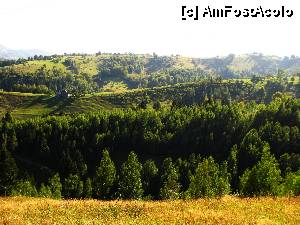 [P17]  -- <small>// FĂRĂ DESCRIERE</small> » foto by no_oxigen
 - 
<span class="allrVoted glyphicon glyphicon-heart hidden" id="av470732"></span>
<a class="m-l-10 hidden" id="sv470732" onclick="voting_Foto_DelVot(,470732,13179)" role="button">șterge vot <span class="glyphicon glyphicon-remove"></span></a>
<a id="v9470732" class=" c-red"  onclick="voting_Foto_SetVot(470732)" role="button"><span class="glyphicon glyphicon-heart-empty"></span> <b>LIKE</b> = Votează poza</a> <img class="hidden"  id="f470732W9" src="/imagini/loader.gif" border="0" /><span class="AjErrMes hidden" id="e470732ErM"></span>