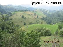 [P03] Satul Pestera - Comuna brasoveana Moeciu » foto by Victor1
 - 
<span class="allrVoted glyphicon glyphicon-heart hidden" id="av64011"></span>
<a class="m-l-10 hidden" id="sv64011" onclick="voting_Foto_DelVot(,64011,13179)" role="button">șterge vot <span class="glyphicon glyphicon-remove"></span></a>
<a id="v964011" class=" c-red"  onclick="voting_Foto_SetVot(64011)" role="button"><span class="glyphicon glyphicon-heart-empty"></span> <b>LIKE</b> = Votează poza</a> <img class="hidden"  id="f64011W9" src="/imagini/loader.gif" border="0" /><span class="AjErrMes hidden" id="e64011ErM"></span>