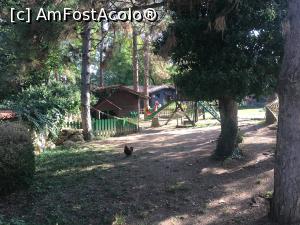 [P12] Veșnica întrebare: de ce trece găina strada?  » foto by Yersinia Pestis
 - 
<span class="allrVoted glyphicon glyphicon-heart hidden" id="av1022882"></span>
<a class="m-l-10 hidden" id="sv1022882" onclick="voting_Foto_DelVot(,1022882,13213)" role="button">șterge vot <span class="glyphicon glyphicon-remove"></span></a>
<a id="v91022882" class=" c-red"  onclick="voting_Foto_SetVot(1022882)" role="button"><span class="glyphicon glyphicon-heart-empty"></span> <b>LIKE</b> = Votează poza</a> <img class="hidden"  id="f1022882W9" src="/imagini/loader.gif" border="0" /><span class="AjErrMes hidden" id="e1022882ErM"></span>