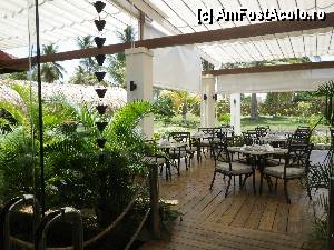 [P14] Tot restaurantul Royal gourmet - zona de luat masa afara (se putea manca si inauntru, unde era aer conditionat)  » foto by Irina1974
 - 
<span class="allrVoted glyphicon glyphicon-heart hidden" id="av386333"></span>
<a class="m-l-10 hidden" id="sv386333" onclick="voting_Foto_DelVot(,386333,13254)" role="button">șterge vot <span class="glyphicon glyphicon-remove"></span></a>
<a id="v9386333" class=" c-red"  onclick="voting_Foto_SetVot(386333)" role="button"><span class="glyphicon glyphicon-heart-empty"></span> <b>LIKE</b> = Votează poza</a> <img class="hidden"  id="f386333W9" src="/imagini/loader.gif" border="0" /><span class="AjErrMes hidden" id="e386333ErM"></span>