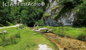 [P10] Drumul spre Brusturet este spectaculos » foto by BOGDAN DSN
 - 
<span class="allrVoted glyphicon glyphicon-heart hidden" id="av1200947"></span>
<a class="m-l-10 hidden" id="sv1200947" onclick="voting_Foto_DelVot(,1200947,13264)" role="button">șterge vot <span class="glyphicon glyphicon-remove"></span></a>
<a id="v91200947" class=" c-red"  onclick="voting_Foto_SetVot(1200947)" role="button"><span class="glyphicon glyphicon-heart-empty"></span> <b>LIKE</b> = Votează poza</a> <img class="hidden"  id="f1200947W9" src="/imagini/loader.gif" border="0" /><span class="AjErrMes hidden" id="e1200947ErM"></span>