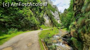 [P11] Mergem paralel cu p&acirc;r&acirc;ul D&acirc;mbovicioara » foto by BOGDAN DSN
 - 
<span class="allrVoted glyphicon glyphicon-heart hidden" id="av1200948"></span>
<a class="m-l-10 hidden" id="sv1200948" onclick="voting_Foto_DelVot(,1200948,13264)" role="button">șterge vot <span class="glyphicon glyphicon-remove"></span></a>
<a id="v91200948" class=" c-red"  onclick="voting_Foto_SetVot(1200948)" role="button"><span class="glyphicon glyphicon-heart-empty"></span> <b>LIKE</b> = Votează poza</a> <img class="hidden"  id="f1200948W9" src="/imagini/loader.gif" border="0" /><span class="AjErrMes hidden" id="e1200948ErM"></span>