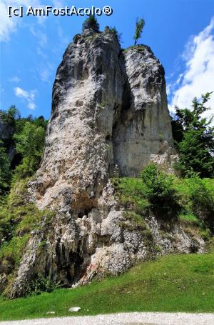 [P12] Formațiuni st&acirc;ncoase pe drumul spre Brusturet » foto by BOGDAN DSN
 - 
<span class="allrVoted glyphicon glyphicon-heart hidden" id="av1200949"></span>
<a class="m-l-10 hidden" id="sv1200949" onclick="voting_Foto_DelVot(,1200949,13264)" role="button">șterge vot <span class="glyphicon glyphicon-remove"></span></a>
<a id="v91200949" class=" c-red"  onclick="voting_Foto_SetVot(1200949)" role="button"><span class="glyphicon glyphicon-heart-empty"></span> <b>LIKE</b> = Votează poza</a> <img class="hidden"  id="f1200949W9" src="/imagini/loader.gif" border="0" /><span class="AjErrMes hidden" id="e1200949ErM"></span>