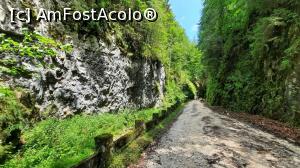 [P13] Alte chei » foto by BOGDAN DSN
 - 
<span class="allrVoted glyphicon glyphicon-heart hidden" id="av1200950"></span>
<a class="m-l-10 hidden" id="sv1200950" onclick="voting_Foto_DelVot(,1200950,13264)" role="button">șterge vot <span class="glyphicon glyphicon-remove"></span></a>
<a id="v91200950" class=" c-red"  onclick="voting_Foto_SetVot(1200950)" role="button"><span class="glyphicon glyphicon-heart-empty"></span> <b>LIKE</b> = Votează poza</a> <img class="hidden"  id="f1200950W9" src="/imagini/loader.gif" border="0" /><span class="AjErrMes hidden" id="e1200950ErM"></span>