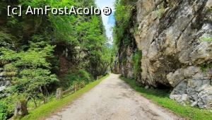 [P14] Cheile Brusturetului » foto by BOGDAN DSN
 - 
<span class="allrVoted glyphicon glyphicon-heart hidden" id="av1200951"></span>
<a class="m-l-10 hidden" id="sv1200951" onclick="voting_Foto_DelVot(,1200951,13264)" role="button">șterge vot <span class="glyphicon glyphicon-remove"></span></a>
<a id="v91200951" class=" c-red"  onclick="voting_Foto_SetVot(1200951)" role="button"><span class="glyphicon glyphicon-heart-empty"></span> <b>LIKE</b> = Votează poza</a> <img class="hidden"  id="f1200951W9" src="/imagini/loader.gif" border="0" /><span class="AjErrMes hidden" id="e1200951ErM"></span>