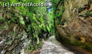 [P15] Cheile sunt foarte &icirc;nguste &icirc;n unele locuri » foto by BOGDAN DSN
 - 
<span class="allrVoted glyphicon glyphicon-heart hidden" id="av1200952"></span>
<a class="m-l-10 hidden" id="sv1200952" onclick="voting_Foto_DelVot(,1200952,13264)" role="button">șterge vot <span class="glyphicon glyphicon-remove"></span></a>
<a id="v91200952" class=" c-red"  onclick="voting_Foto_SetVot(1200952)" role="button"><span class="glyphicon glyphicon-heart-empty"></span> <b>LIKE</b> = Votează poza</a> <img class="hidden"  id="f1200952W9" src="/imagini/loader.gif" border="0" /><span class="AjErrMes hidden" id="e1200952ErM"></span>