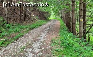 [P20] Spre Garofița Pietrei Craiului » foto by BOGDAN DSN
 - 
<span class="allrVoted glyphicon glyphicon-heart hidden" id="av1200957"></span>
<a class="m-l-10 hidden" id="sv1200957" onclick="voting_Foto_DelVot(,1200957,13264)" role="button">șterge vot <span class="glyphicon glyphicon-remove"></span></a>
<a id="v91200957" class=" c-red"  onclick="voting_Foto_SetVot(1200957)" role="button"><span class="glyphicon glyphicon-heart-empty"></span> <b>LIKE</b> = Votează poza</a> <img class="hidden"  id="f1200957W9" src="/imagini/loader.gif" border="0" /><span class="AjErrMes hidden" id="e1200957ErM"></span>