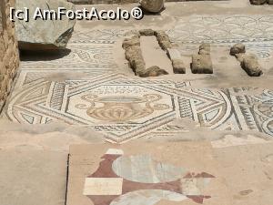 [P29] Situl arheologic al vechii catedrale episcopale a Pafosului » foto by crismis
 - 
<span class="allrVoted glyphicon glyphicon-heart hidden" id="av997849"></span>
<a class="m-l-10 hidden" id="sv997849" onclick="voting_Foto_DelVot(,997849,13279)" role="button">șterge vot <span class="glyphicon glyphicon-remove"></span></a>
<a id="v9997849" class=" c-red"  onclick="voting_Foto_SetVot(997849)" role="button"><span class="glyphicon glyphicon-heart-empty"></span> <b>LIKE</b> = Votează poza</a> <img class="hidden"  id="f997849W9" src="/imagini/loader.gif" border="0" /><span class="AjErrMes hidden" id="e997849ErM"></span>