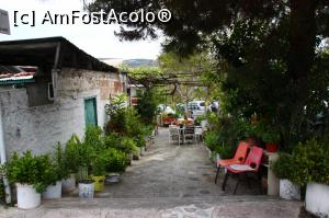 [P44] Tragem cu'ochiul 'aparatului in curtea unui localnic » foto by DOINITA
 - 
<span class="allrVoted glyphicon glyphicon-heart hidden" id="av967884"></span>
<a class="m-l-10 hidden" id="sv967884" onclick="voting_Foto_DelVot(,967884,13279)" role="button">șterge vot <span class="glyphicon glyphicon-remove"></span></a>
<a id="v9967884" class=" c-red"  onclick="voting_Foto_SetVot(967884)" role="button"><span class="glyphicon glyphicon-heart-empty"></span> <b>LIKE</b> = Votează poza</a> <img class="hidden"  id="f967884W9" src="/imagini/loader.gif" border="0" /><span class="AjErrMes hidden" id="e967884ErM"></span>