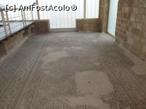 [P28] Mozaic roman din Casa lui Aion » foto by irinad
 - 
<span class="allrVoted glyphicon glyphicon-heart hidden" id="av809672"></span>
<a class="m-l-10 hidden" id="sv809672" onclick="voting_Foto_DelVot(,809672,13279)" role="button">șterge vot <span class="glyphicon glyphicon-remove"></span></a>
<a id="v9809672" class=" c-red"  onclick="voting_Foto_SetVot(809672)" role="button"><span class="glyphicon glyphicon-heart-empty"></span> <b>LIKE</b> = Votează poza</a> <img class="hidden"  id="f809672W9" src="/imagini/loader.gif" border="0" /><span class="AjErrMes hidden" id="e809672ErM"></span>