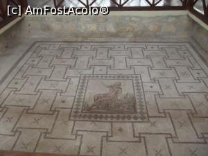 [P39] Casa lui Dionysos: Narcis autoadmirându-se » foto by irinad
 - 
<span class="allrVoted glyphicon glyphicon-heart hidden" id="av809708"></span>
<a class="m-l-10 hidden" id="sv809708" onclick="voting_Foto_DelVot(,809708,13279)" role="button">șterge vot <span class="glyphicon glyphicon-remove"></span></a>
<a id="v9809708" class=" c-red"  onclick="voting_Foto_SetVot(809708)" role="button"><span class="glyphicon glyphicon-heart-empty"></span> <b>LIKE</b> = Votează poza</a> <img class="hidden"  id="f809708W9" src="/imagini/loader.gif" border="0" /><span class="AjErrMes hidden" id="e809708ErM"></span>