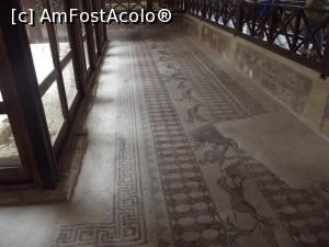 [P41] Casa lui Dionysos: scene de vânătoare » foto by irinad
 - 
<span class="allrVoted glyphicon glyphicon-heart hidden" id="av809717"></span>
<a class="m-l-10 hidden" id="sv809717" onclick="voting_Foto_DelVot(,809717,13279)" role="button">șterge vot <span class="glyphicon glyphicon-remove"></span></a>
<a id="v9809717" class=" c-red"  onclick="voting_Foto_SetVot(809717)" role="button"><span class="glyphicon glyphicon-heart-empty"></span> <b>LIKE</b> = Votează poza</a> <img class="hidden"  id="f809717W9" src="/imagini/loader.gif" border="0" /><span class="AjErrMes hidden" id="e809717ErM"></span>
