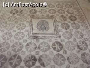 [P43] Casa lui Dionysos, mozaic celebru » foto by irinad
 - 
<span class="allrVoted glyphicon glyphicon-heart hidden" id="av809724"></span>
<a class="m-l-10 hidden" id="sv809724" onclick="voting_Foto_DelVot(,809724,13279)" role="button">șterge vot <span class="glyphicon glyphicon-remove"></span></a>
<a id="v9809724" class=" c-red"  onclick="voting_Foto_SetVot(809724)" role="button"><span class="glyphicon glyphicon-heart-empty"></span> <b>LIKE</b> = Votează poza</a> <img class="hidden"  id="f809724W9" src="/imagini/loader.gif" border="0" /><span class="AjErrMes hidden" id="e809724ErM"></span>