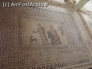 [P45] Casa lui Dionysos: Fedra şi Hippolytos » foto by irinad
 - 
<span class="allrVoted glyphicon glyphicon-heart hidden" id="av809732"></span>
<a class="m-l-10 hidden" id="sv809732" onclick="voting_Foto_DelVot(,809732,13279)" role="button">șterge vot <span class="glyphicon glyphicon-remove"></span></a>
<a id="v9809732" class=" c-red"  onclick="voting_Foto_SetVot(809732)" role="button"><span class="glyphicon glyphicon-heart-empty"></span> <b>LIKE</b> = Votează poza</a> <img class="hidden"  id="f809732W9" src="/imagini/loader.gif" border="0" /><span class="AjErrMes hidden" id="e809732ErM"></span>