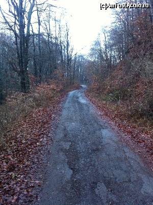 [P23] Șoseaua peste Coașa » foto by Yersinia Pestis
 - 
<span class="allrVoted glyphicon glyphicon-heart hidden" id="av574958"></span>
<a class="m-l-10 hidden" id="sv574958" onclick="voting_Foto_DelVot(,574958,13284)" role="button">șterge vot <span class="glyphicon glyphicon-remove"></span></a>
<a id="v9574958" class=" c-red"  onclick="voting_Foto_SetVot(574958)" role="button"><span class="glyphicon glyphicon-heart-empty"></span> <b>LIKE</b> = Votează poza</a> <img class="hidden"  id="f574958W9" src="/imagini/loader.gif" border="0" /><span class="AjErrMes hidden" id="e574958ErM"></span>
