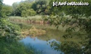 [P12] Pensiunea Lucinel II, din nou în parc, la alergare » foto by unq
 - 
<span class="allrVoted glyphicon glyphicon-heart hidden" id="av484890"></span>
<a class="m-l-10 hidden" id="sv484890" onclick="voting_Foto_DelVot(,484890,13309)" role="button">șterge vot <span class="glyphicon glyphicon-remove"></span></a>
<a id="v9484890" class=" c-red"  onclick="voting_Foto_SetVot(484890)" role="button"><span class="glyphicon glyphicon-heart-empty"></span> <b>LIKE</b> = Votează poza</a> <img class="hidden"  id="f484890W9" src="/imagini/loader.gif" border="0" /><span class="AjErrMes hidden" id="e484890ErM"></span>