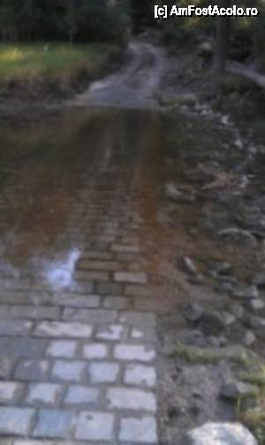 [P13] Pensiunea Lucinel II, trecerea prin brațul Dunării, ptr. bicicliști. Interesant, nu?  » foto by unq
 - 
<span class="allrVoted glyphicon glyphicon-heart hidden" id="av484891"></span>
<a class="m-l-10 hidden" id="sv484891" onclick="voting_Foto_DelVot(,484891,13309)" role="button">șterge vot <span class="glyphicon glyphicon-remove"></span></a>
<a id="v9484891" class=" c-red"  onclick="voting_Foto_SetVot(484891)" role="button"><span class="glyphicon glyphicon-heart-empty"></span> <b>LIKE</b> = Votează poza</a> <img class="hidden"  id="f484891W9" src="/imagini/loader.gif" border="0" /><span class="AjErrMes hidden" id="e484891ErM"></span>