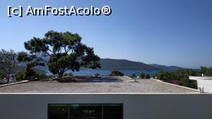 [P14] camera - pe balcon » foto by elenaadina
 - 
<span class="allrVoted glyphicon glyphicon-heart hidden" id="av1329037"></span>
<a class="m-l-10 hidden" id="sv1329037" onclick="voting_Foto_DelVot(,1329037,13312)" role="button">șterge vot <span class="glyphicon glyphicon-remove"></span></a>
<a id="v91329037" class=" c-red"  onclick="voting_Foto_SetVot(1329037)" role="button"><span class="glyphicon glyphicon-heart-empty"></span> <b>LIKE</b> = Votează poza</a> <img class="hidden"  id="f1329037W9" src="/imagini/loader.gif" border="0" /><span class="AjErrMes hidden" id="e1329037ErM"></span>