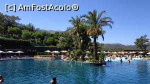 [P57] piscina principala » foto by elenaadina
 - 
<span class="allrVoted glyphicon glyphicon-heart hidden" id="av1329080"></span>
<a class="m-l-10 hidden" id="sv1329080" onclick="voting_Foto_DelVot(,1329080,13312)" role="button">șterge vot <span class="glyphicon glyphicon-remove"></span></a>
<a id="v91329080" class=" c-red"  onclick="voting_Foto_SetVot(1329080)" role="button"><span class="glyphicon glyphicon-heart-empty"></span> <b>LIKE</b> = Votează poza</a> <img class="hidden"  id="f1329080W9" src="/imagini/loader.gif" border="0" /><span class="AjErrMes hidden" id="e1329080ErM"></span>